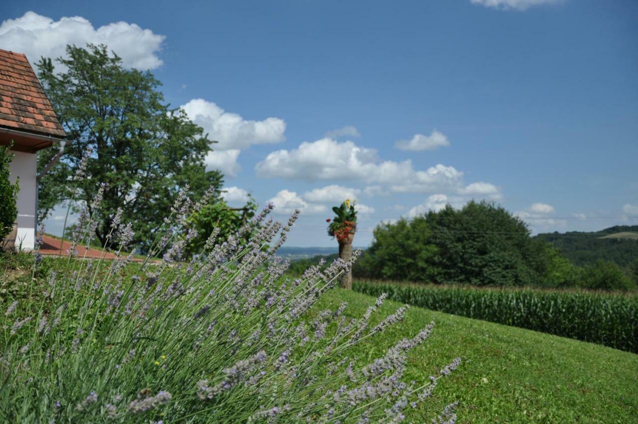 S' Kellerstoeckl Villa Loipersdorf bei Fürstenfeld Exterior photo