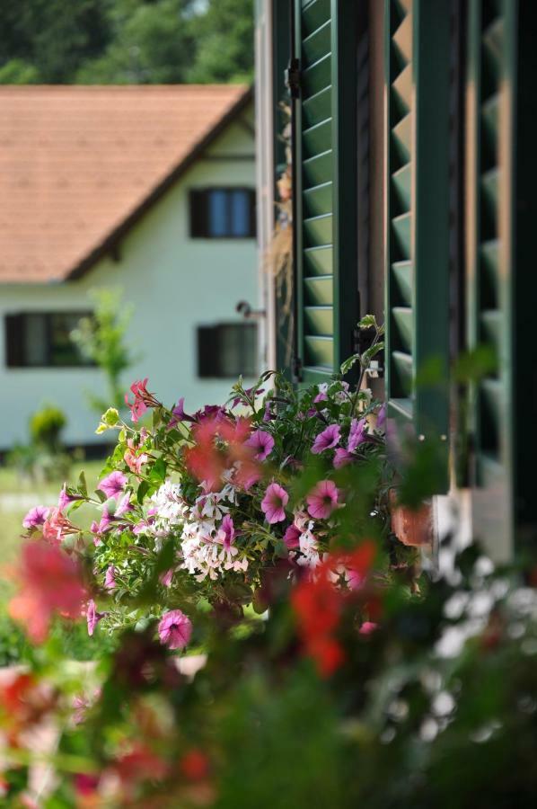 S' Kellerstoeckl Villa Loipersdorf bei Fürstenfeld Exterior photo